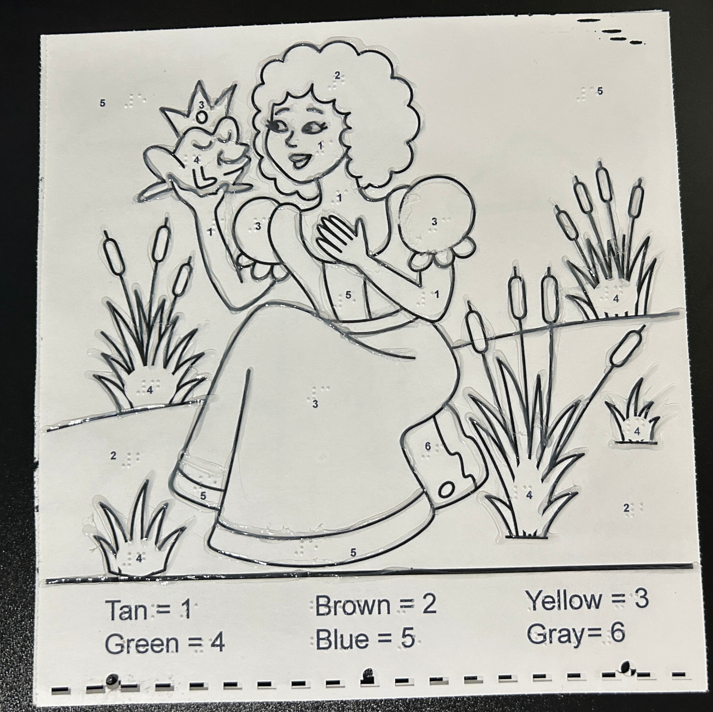 Frog Princess Paint By Numbers from Material Prep Braille Materials